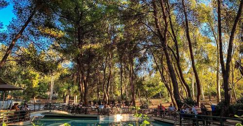 5 κήποι και αυλές για φαγητό στην Αθήνα -Εδώ έχει ακόμα καλοκαίρι